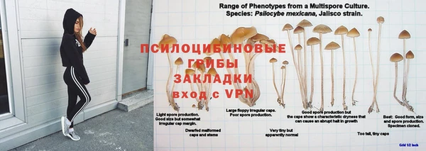 ALPHA-PVP Алексин