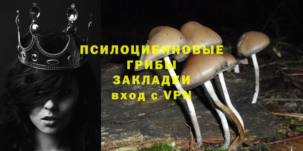 кокс Алзамай