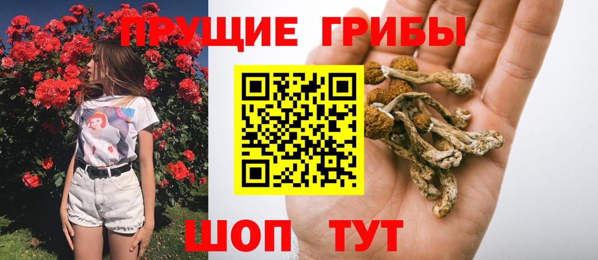 Галлюциногенные грибы MAGIC MUSHROOMS  Галлюциногенные грибы GOLDEN TEACHER  Вход с VPN  Павловский Посад 